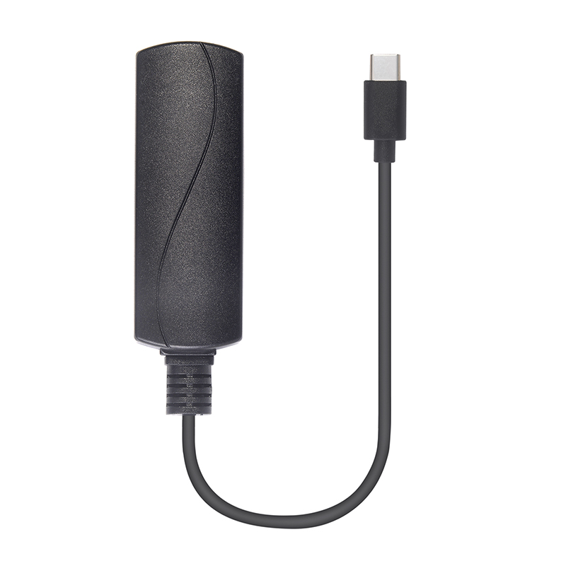 GP2C5V Gigabit 10W PoE Driver